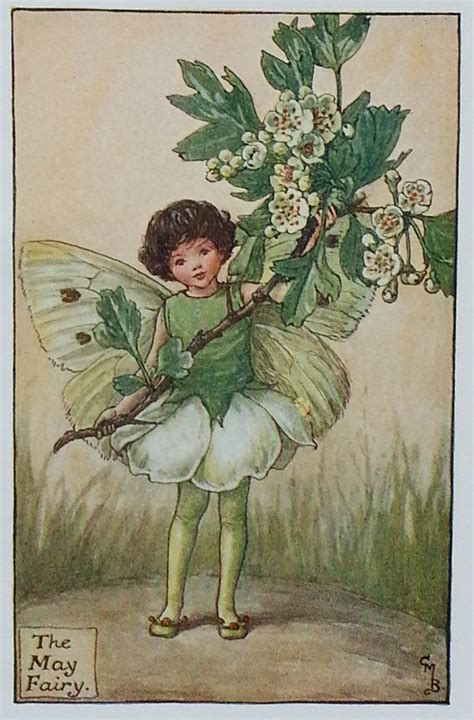 Flower Fairies May Flower Cicely Mary Barker At Titaniavintageprints
