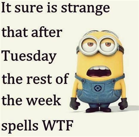 Wednesday Minions Of The Hour 01 34 10 Am Wednesday 25 November 2015 Pst 10 Pics Funny