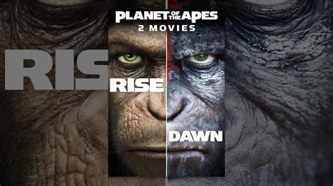 Planet Of The Apes Rise And Dawn 2 Movies Youtube