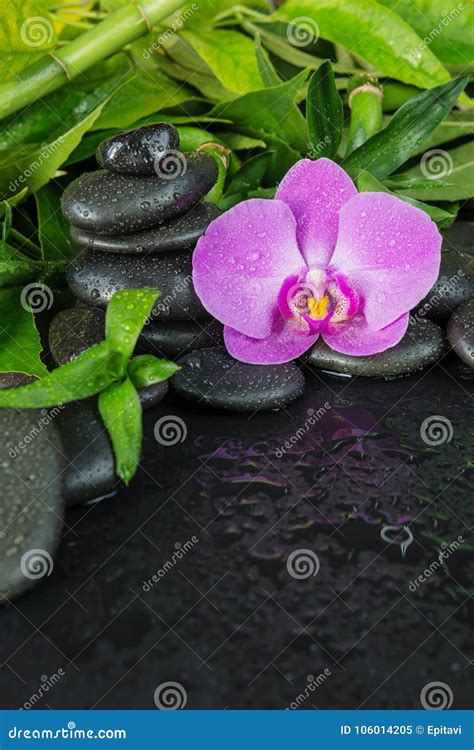 spa concept with zen stones orchid flower and bamboo stock image image of bamboo