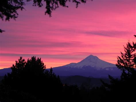Northwestern Exposure Pink Mountain Sunrise Pink Mountains