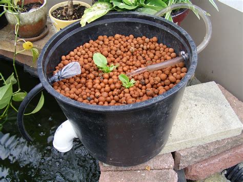 Diy pond waterfall filter box this diy pond waterfall filter by aquascape is the ideal diy solution for filtering small ponds and water features. natural filter for pond - Google Search | Diy pond, Garden ...