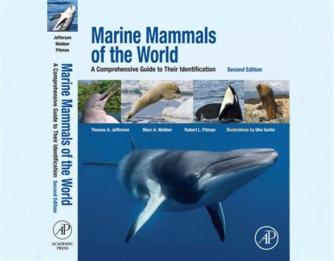 Marine Mammals Of The World A Comprehensive Guide To Their