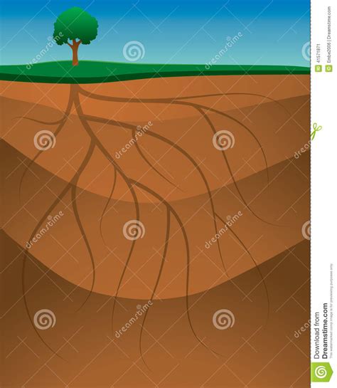 Le Radici Hanno Frantumato Il Fondo Illustrazione Vettoriale