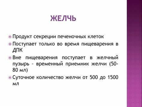 Желчь лечение диета Желчь Во Рту Причины И Лечение Диета — Похудение Диета Правильное Питание Желчь Во Рту Причины И Лечение Диета — Похудение Диета Правильное Питание Желчь лечение диета