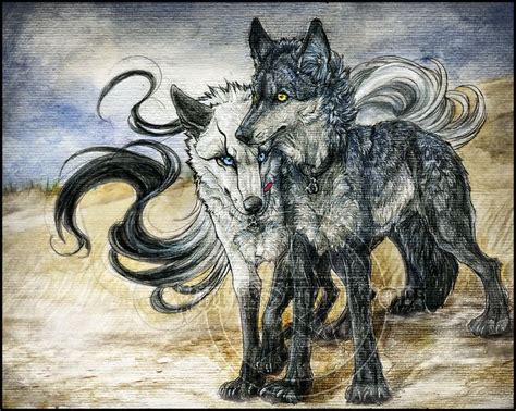 Cute Wolf Couple ♥ Favorite Animal Alis Art Pinterest