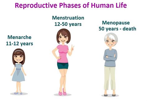 Menarche Signs Symptoms Age Of Onset What Is Normal And Abnormal