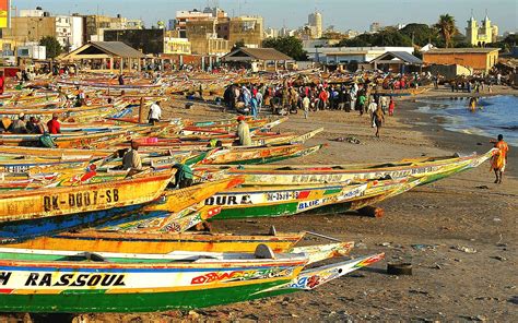 Travel And Adventures Senegal Sénégal A Voyage To Senegal Africa