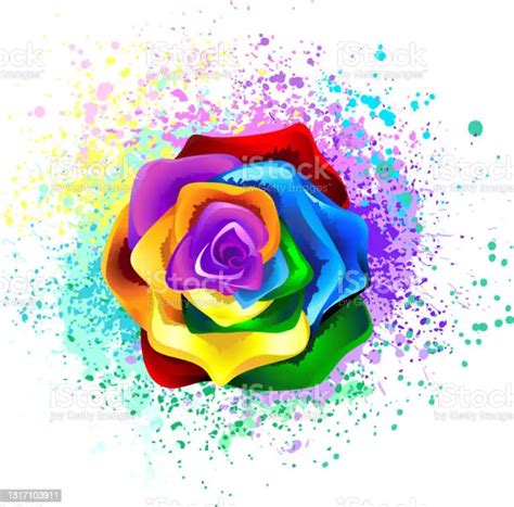 Large Blooming Rose With Rainbow Petals On White Background Painted