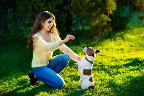 Mujer Morena Atractiva Joven Que Juega Con Su Perro En Parque Verde En El Verano Concepto De La