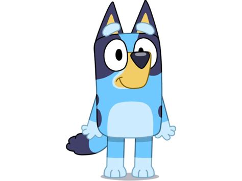 who voices bandit in bluey meet bandit s voice actor