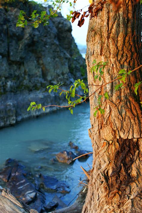 Free Images Landscape Tree Water Nature Forest Rock Wilderness