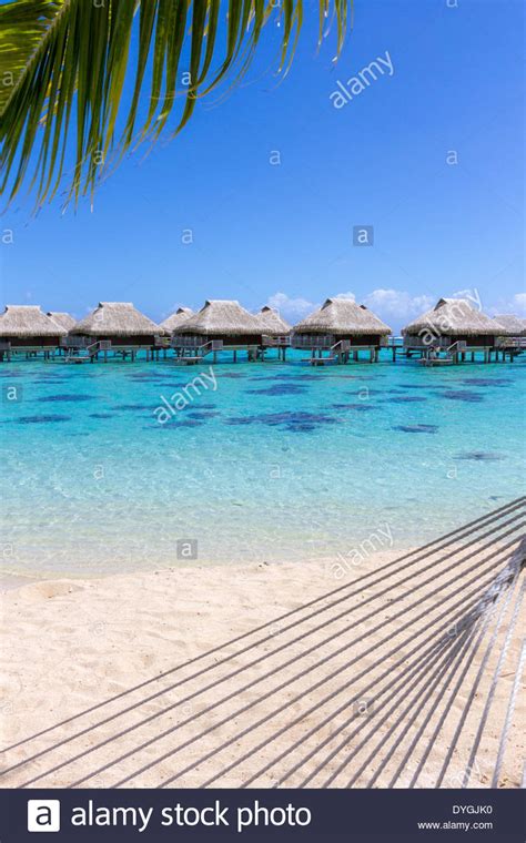 Rope Hammock And Palm Tree Branch On A Beach With Overwater Bungalows