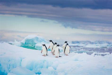 An Interview With Polar Photographer David Merron Wayfinders