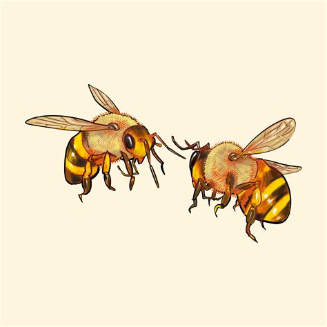 Hand Drawn Bee Isolated On Yellow Background Download Free Vectors