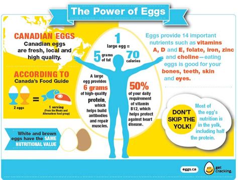 You'd need to walk 22 minutes to burn 77 calories. Egg Nutrition | Eggs.ca