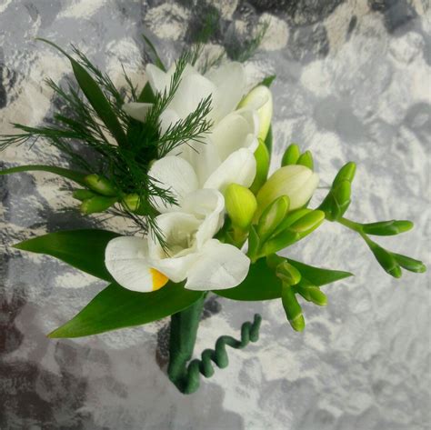 White Freesia Boutonniere Freesia Boutonniere Weddings Plants White