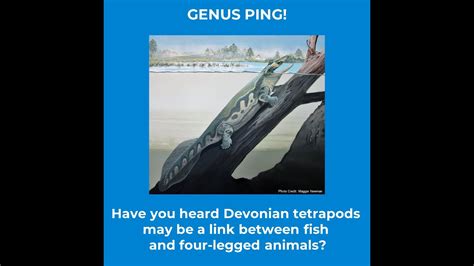 Have You Heard Devonian Tetrapods May Be A Link Between Fish And Four