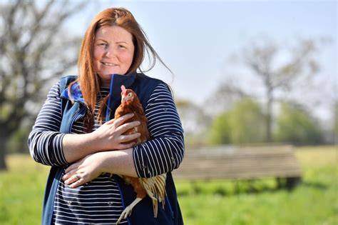 The Woman With 40000 Chickens Whose Eggs Are Sold In Welsh Tesco Stores Wales Online