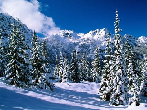 Nature Snowy Mountains Picture Nr 56017