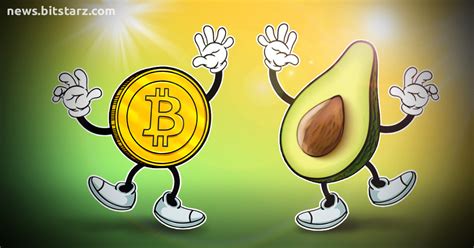 Are you sure bitcoin prices will increase again? Bitcoin and Avocado Prices Are Mirroring Each Other Again