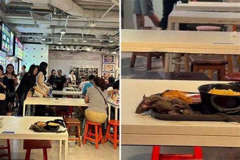 Diners Scream After Rat Falls Onto Food At Tangs Market In Orchard Road Sfa Investigating