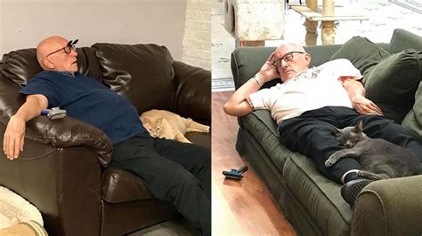 Volunteer ‘honorary Cat Grandpa Visits Shelter Daily Brushes And Naps