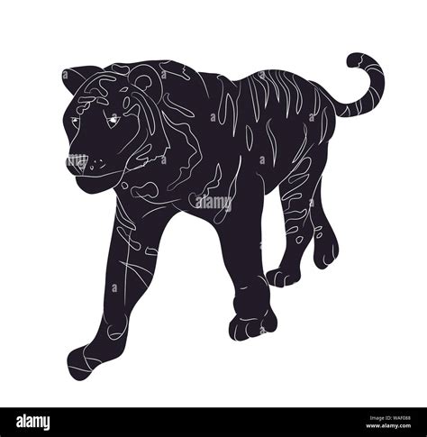 Vector Illustration Of A Tiger That Stands Drawing Silhouette Vector