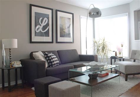 Elegant Grey Colour Schemes For Living Rooms Captivating Small Living