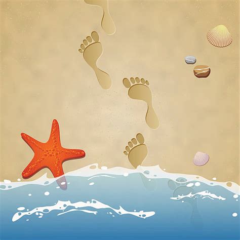 Best Footprints In The Sand Illustrations, Royalty-Free Vector Graphics