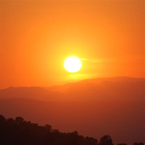 The rising sun has been a symbol for brothels in british and american ballads. The House of the Rising Sun - Backing Track