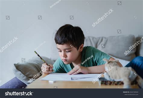 Schoolboy Using Pencil Drawing On White Stock Photo 2026728569
