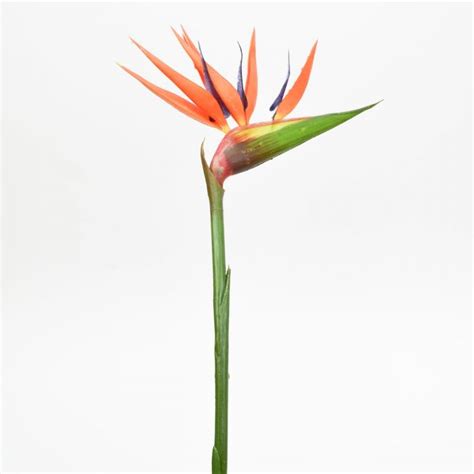 Check spelling or type a new query. Bird of Paradise Spray - 36 Inch Synthetic - Wholesale ...