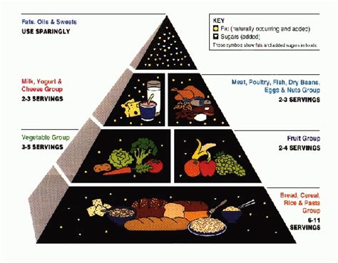 Practical Biology Science For Everyone The Newest Food Pyramid