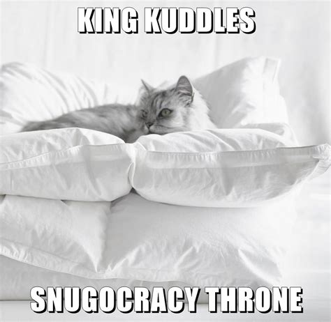 King Kuddles Snugocracy Throne Lolcats Lol Cat Memes Funny Cats
