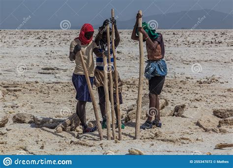 Danakil Ethiopia March 24 2019 Afar Tribe Salt Miners In The