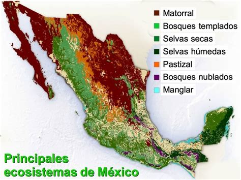 Ecosistemas De México Mind Map