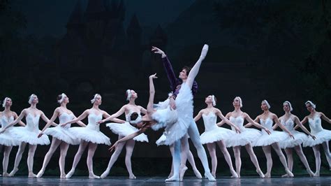 Swan Lake Russian National Ballet Theatres Gruelling Schedule The