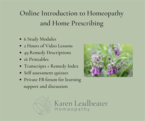 An Introduction To Homeopathy And Home Prescribing Karen Leadbeater