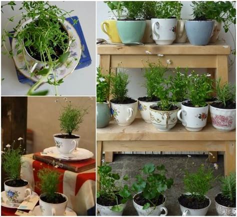 24 Indoor Herb Garden Ideas To Look For Inspiration