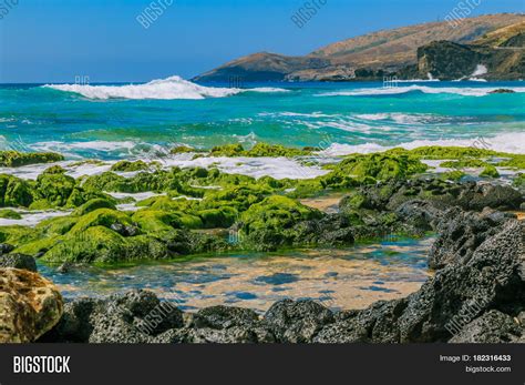 Tropical Lagoon Tide Image And Photo Free Trial Bigstock