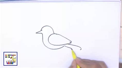 For more easy videos visit my today i am drawing easy drawing ! How to draw a BIRD easy steps, step by step advanced art ...