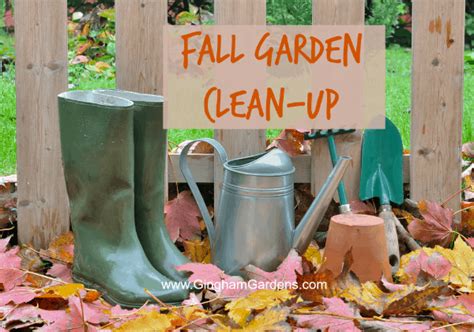 Quick And Easy Steps For Fall Garden Clean Up Gingham Gardens