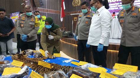 Terlibat Jaringan Gelap Perdagangan Organ Harimau Sumatera Seorang Pns