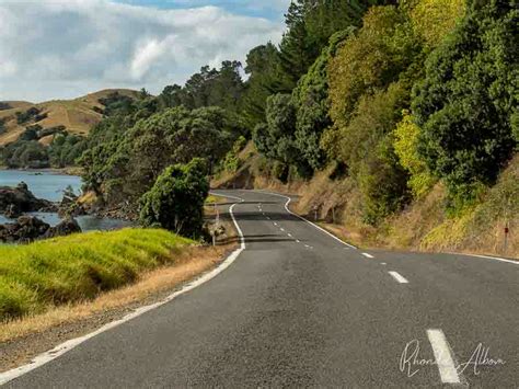 27 Things To Do In Coromandel Road Trip Highlights Albom Adventures