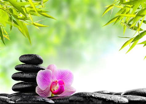 Peaceful Zen Wallpapers Top Free Peaceful Zen Backgrounds