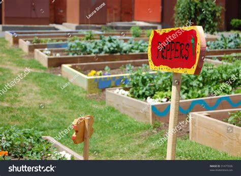 The garden and the walkway around its perimeter have an area of 238 ft2. This Vacant Lot In An Inner City Neighborhood Has Been ...