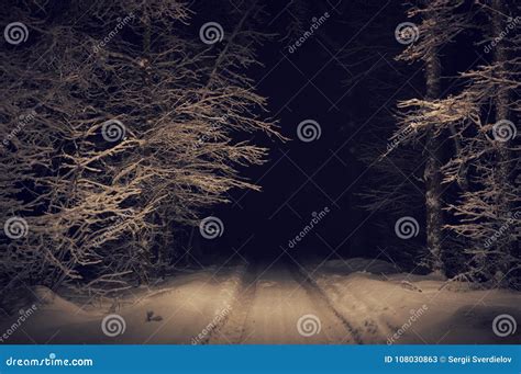 Landscape Of Spooky Winter Forest Covered By Snow Stock Image Image