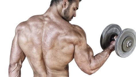 Bodybuilding Training Tips For Stubborn Bicep Growth
