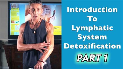 Introduction To Lymphatic System Detoxification Part 1 Dr Robert